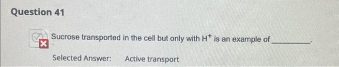 Question 51 Cells Spend About A Of Time In The Mitotic Phase And B During Interphase 90 Specified Answer For A 4