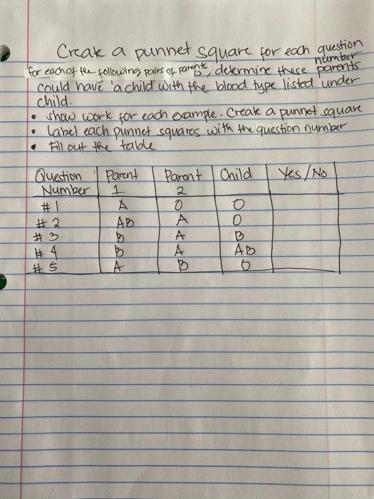 Number Creak A Punnet Square For Each Questions For Each Of The Following Pairs Of Parents Determine There Parents Could 1