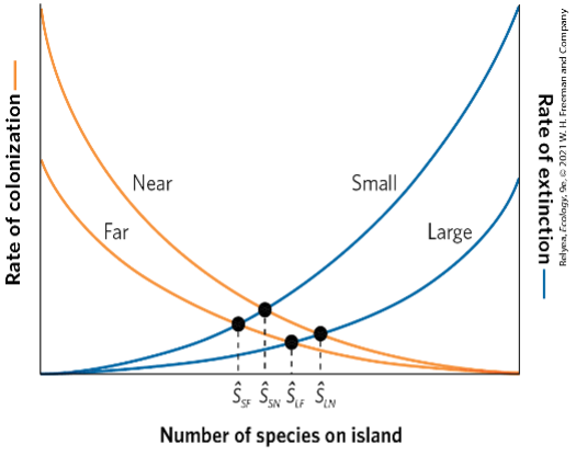 Rate Of Colonization Relyea Ecology Gec 2021 W H Freeman And Company Near Rate Of Extinction Small Far Large E In 1