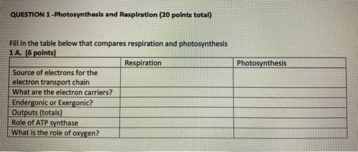 Question 1 Photosynthesis And Respiration 20 Points Total Photosynthesis Fill In The Table Below That Compares Respi 1