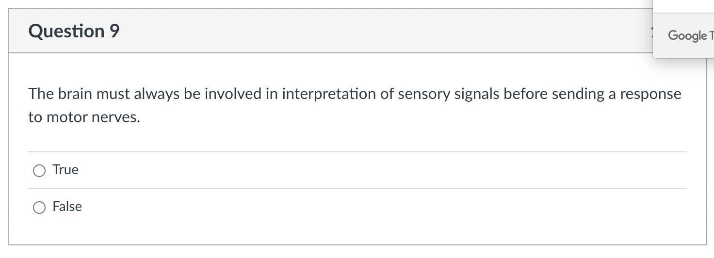 Question 11 3 Pts 1 5 2 3 4 Which Part Of This Neuron Receives The Signal From A Presynaptic Neuron Select Which 2