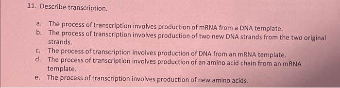 11 Describe Transcription A The Process Of Transcription Involves Production Of Mrna From A Dna Template B The Proc 1