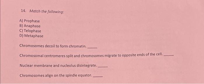 11 Describe Transcription A The Process Of Transcription Involves Production Of Mrna From A Dna Template B The Proc 2