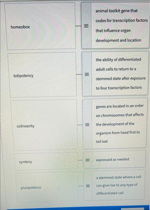 Continually Expressed Gene Iii Genomic Equivalence Such As A Housekeeping Gene The Concept That Every Cell In A Multicel 2