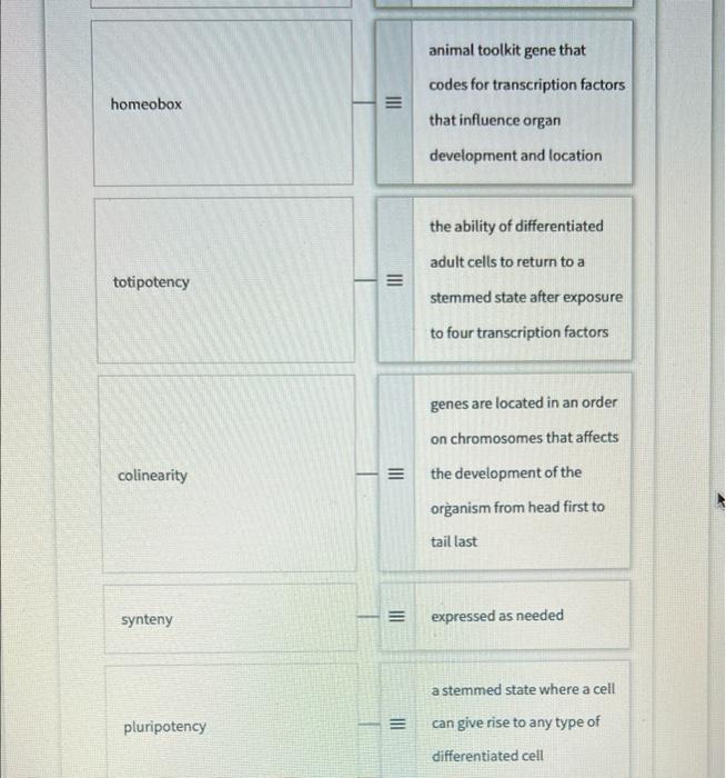 Continually Expressed Gene Iii Genomic Equivalence Such As A Housekeeping Gene The Concept That Every Cell In A Multicel 3