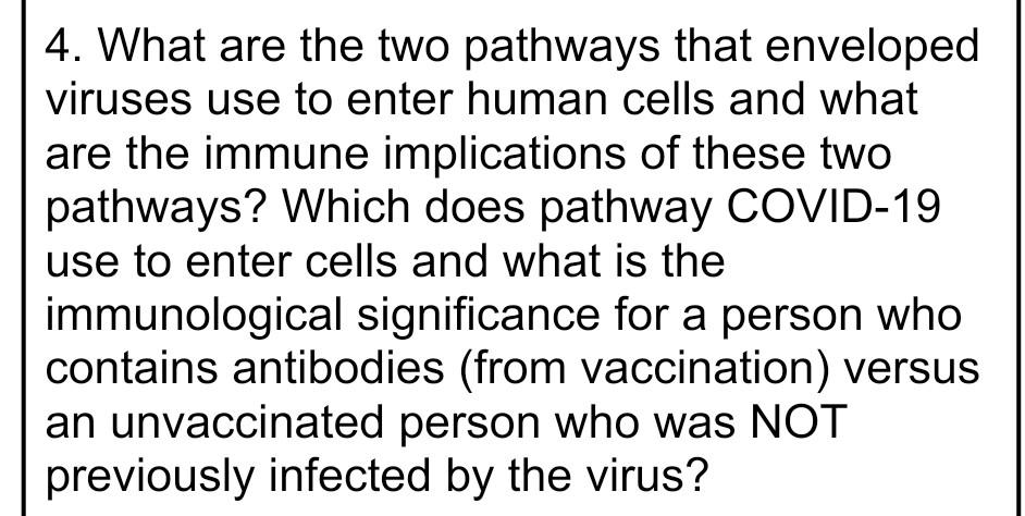 4 What Are The Two Pathways That Enveloped Viruses Use To Enter Human Cells And What Are The Immune Implications Of The 1