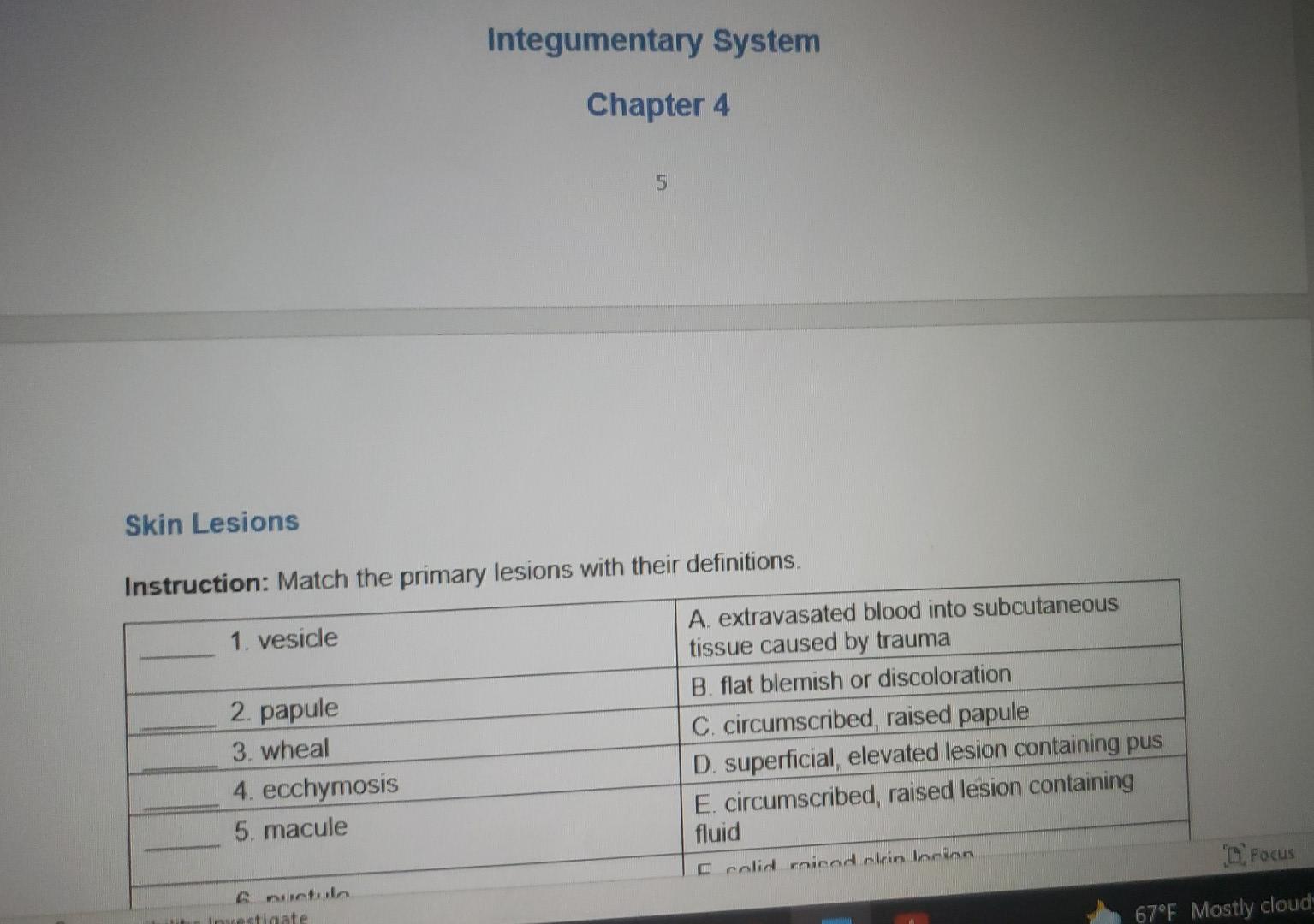 Integumentary System Chapter 4 5 Skin Lesions Instruction Match The Primary Lesions With Their Definitions 1 Vesicle 1