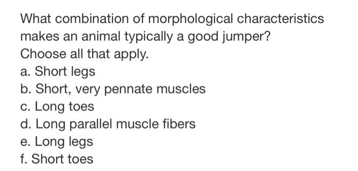 What Combination Of Morphological Characteristics Makes An Animal Typically A Good Jumper Choose All That Apply A Sho 1