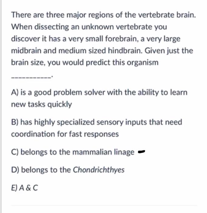 There Are Three Major Regions Of The Vertebrate Brain When Dissecting An Unknown Vertebrate You Discover It Has A Very 1