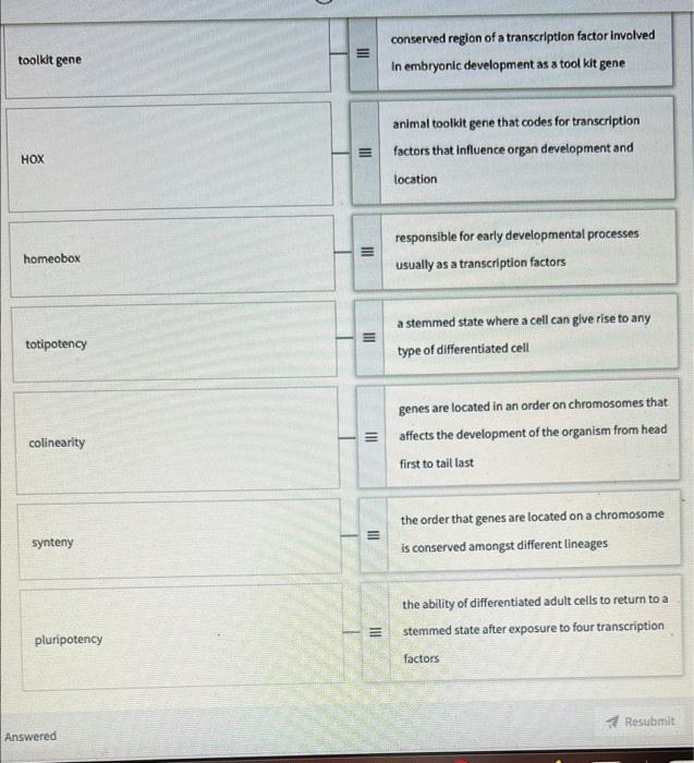 Ag And Drop Options On The Right Hand Side And Submit For Keyboard Navigation Show More The Concept That Every Cell 2