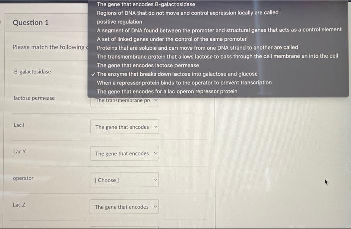 Question 1 Please Match The Following The Gene That Encodes B Galactosidase Regions Of Dna That Do Not Move And Control 1