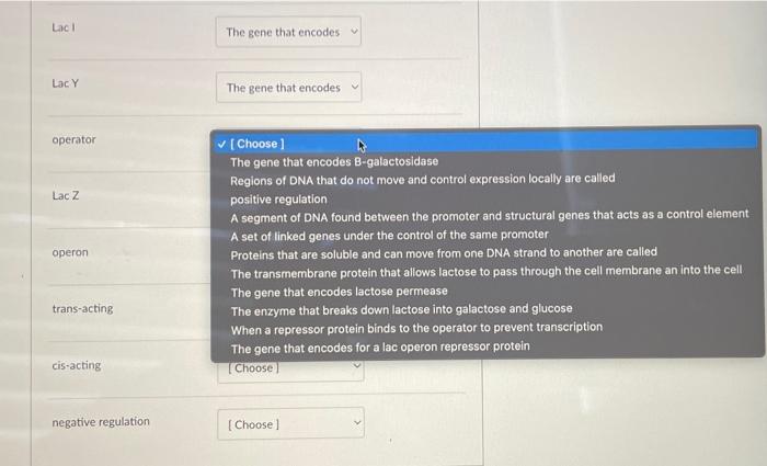 Question 1 Please Match The Following The Gene That Encodes B Galactosidase Regions Of Dna That Do Not Move And Control 2