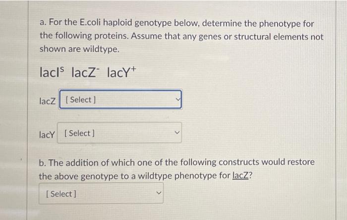 A For The E Coli Haploid Genotype Below Determine The Phenotype For The Following Proteins Assume That Any Genes Or S 1