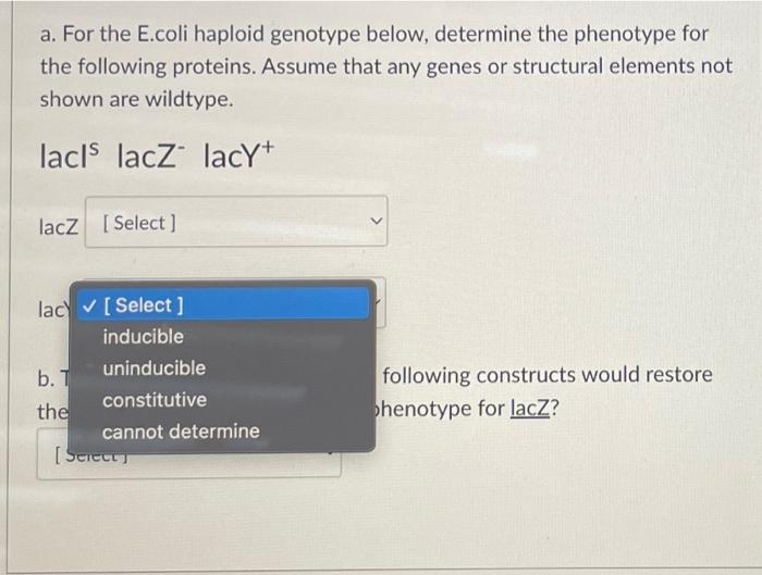 A For The E Coli Haploid Genotype Below Determine The Phenotype For The Following Proteins Assume That Any Genes Or S 3