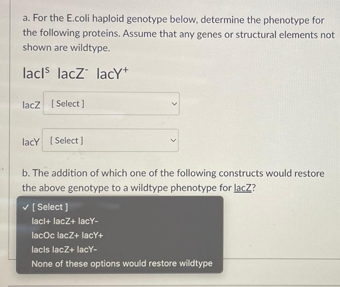 A For The E Coli Haploid Genotype Below Determine The Phenotype For The Following Proteins Assume That Any Genes Or S 4