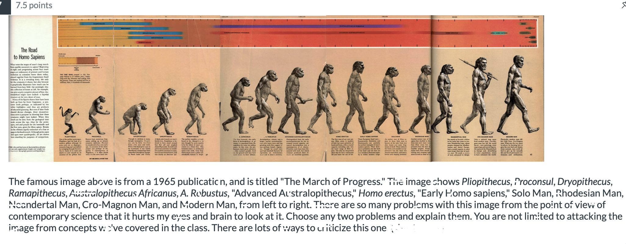7 5 Points Advanced Australpheos Brothecus The Road To Homo Sapiens The Time Span Cod In This Fe Page 25 Million Yerleg 1