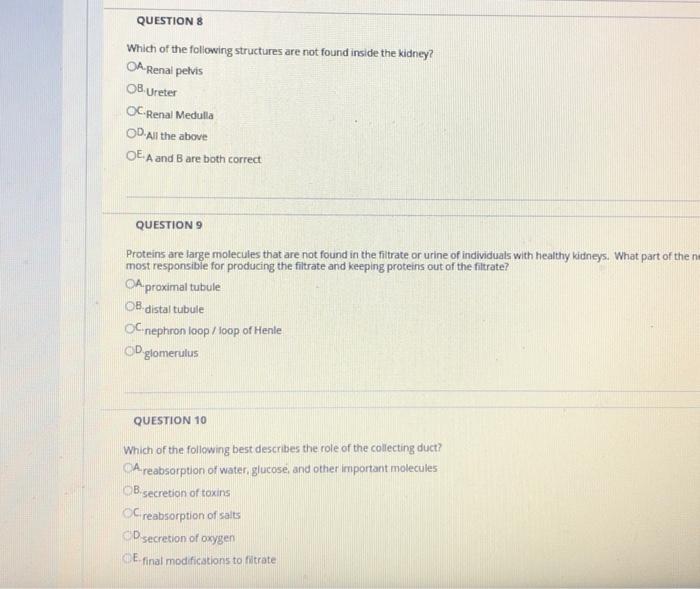 Questions Which Of The Following Structures Are Not Found Inside The Kidney Oa Renal Pelvis Ob Ureter Oc Renal Medulla 1
