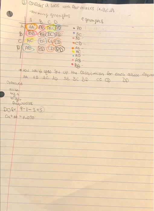 It S The Third One That Stumping Me As I M Not Sure How I Would Apply Nine Genotypes To The P 2 2pq Q 2 Equations To Ge 3