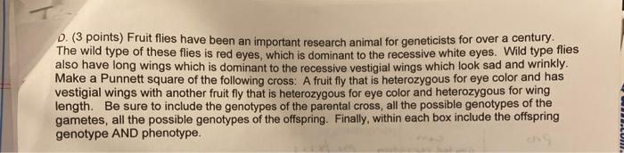 D 3 Points Fruit Flies Have Been An Important Research Animal For Geneticists For Over A Century The Wild Type Of The 1