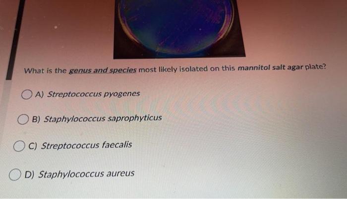 Question 6 Mandatory 1 5 Points Streptococcal Species Are Classified Antigens Found On The Cell Surface Of Many Spec 2