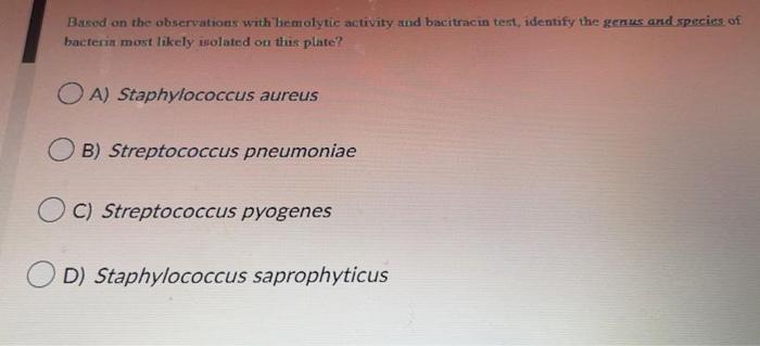Based On The Observations With Hemolytic Activity And Bacitracin Tert Identify The Genus And Species Of Bacteria Most L 1