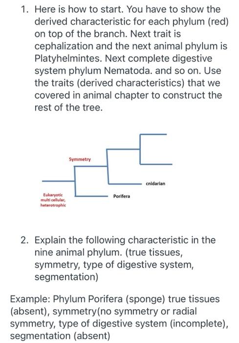 1 Here Is How To Start You Have To Show The Derived Characteristic For Each Phylum Red On Top Of The Branch Next Tr 1