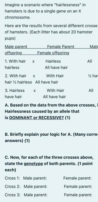 Imagine A Scenario Where Hairlessness In Hamsters Is Due To A Single Gene On An X Chromosome Here Are The Results Fro 1