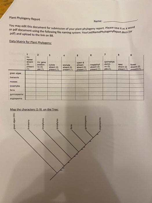 Plant Phylogeny Report Name Word You May Edit This Document For Submission Of Your Plant Phylogeny Report Please Save 1