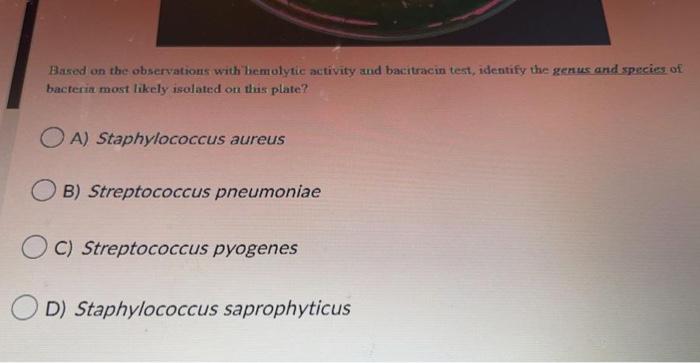 Based On The Observations With Hemolytic Activity And Bacitracin Test Identify The Genus And Species Of Bacteria Most L 2