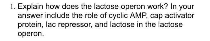 1 Explain How Does The Lactose Operon Work In Your Answer Include The Role Of Cyclic Amp Cap Activator Protein Lac R 1
