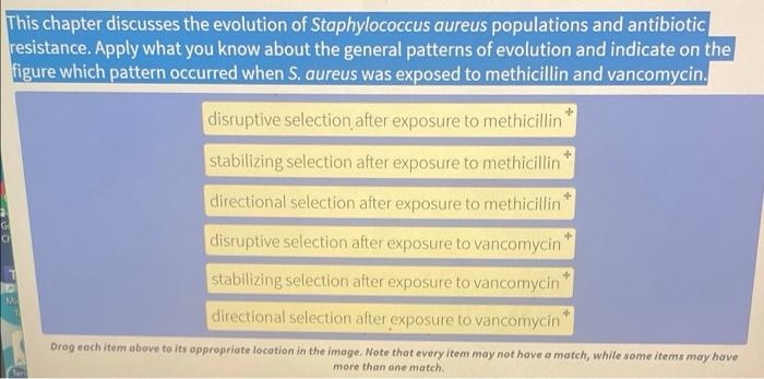 This Chapter Discusses The Evolution Of Staphylococcus Aureus Populations And Antibiotic Resistance Apply What You Know 1