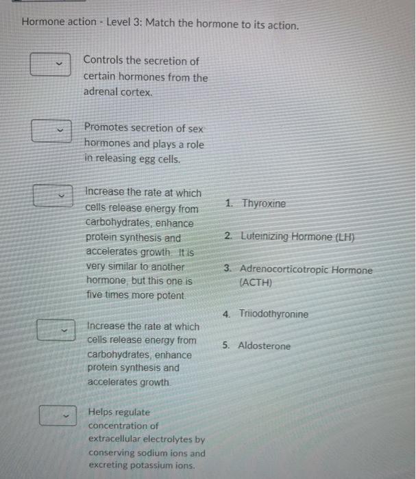 Other Endocrine Glands Match The Following Statements Produces Estrogen Progesterone And Gonadotropin 1 Pineal Gla 2