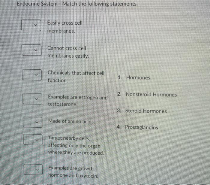 Other Endocrine Glands Match The Following Statements Produces Estrogen Progesterone And Gonadotropin 1 Pineal Gla 7