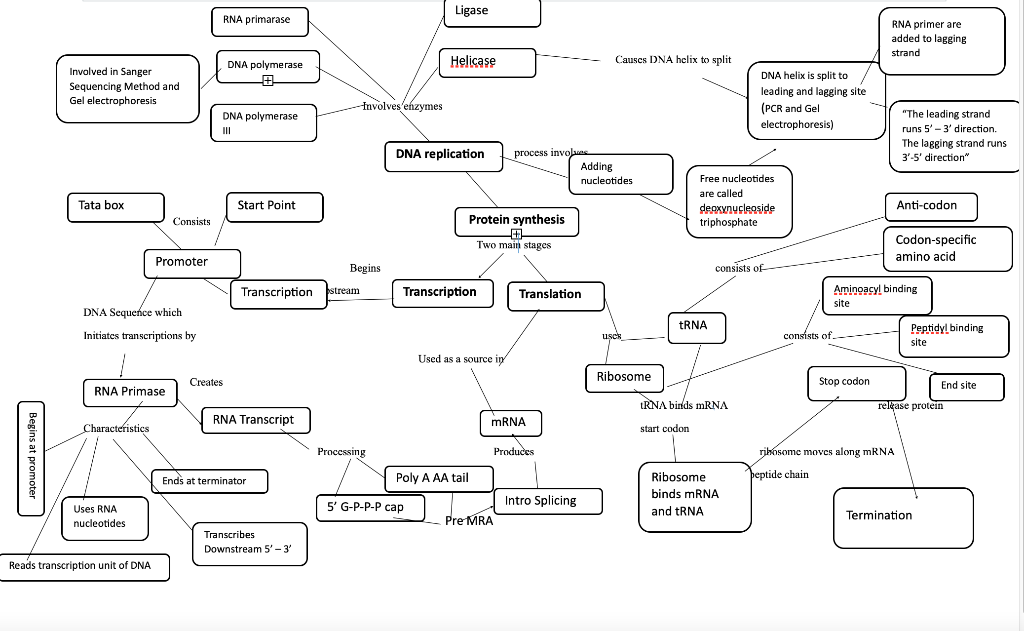 Hi Can Someone Please Go Over My Mind Map And Tell Me If I Have Done It Correctly And If Not Can You Edit It Im Going 1
