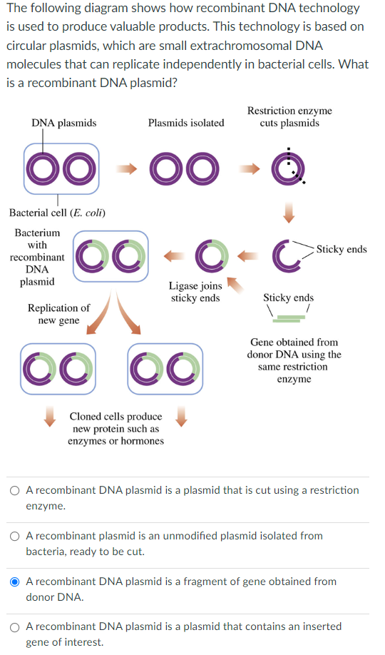 The Following Diagram Shows How Recombinant Dna Technology Is Used To Produce Valuable Products This Technology Is Base 1