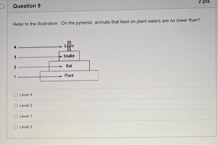 2 Pts Question 9 Refer To The Illustration On The Pyramid Animals That Feed On Plant Eaters Are No Lower Than Eagle S 1