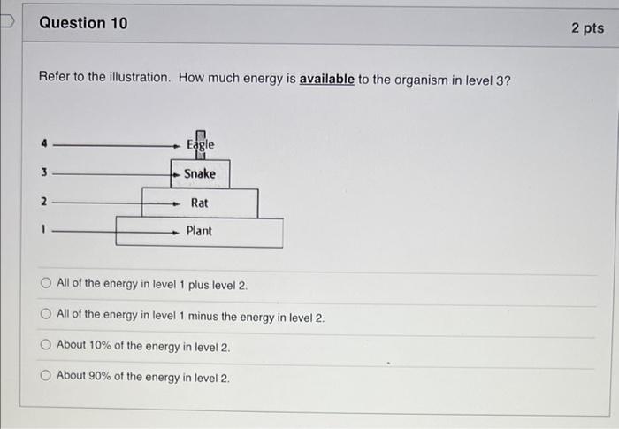 2 Pts Question 9 Refer To The Illustration On The Pyramid Animals That Feed On Plant Eaters Are No Lower Than Eagle S 2