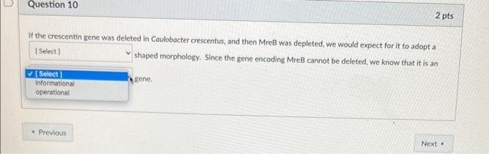 If The Crescentin Gene Was Deleted In Caulobacter Crescentus And Then Mreb Was Depleted We Would Expect For It To Adop 2