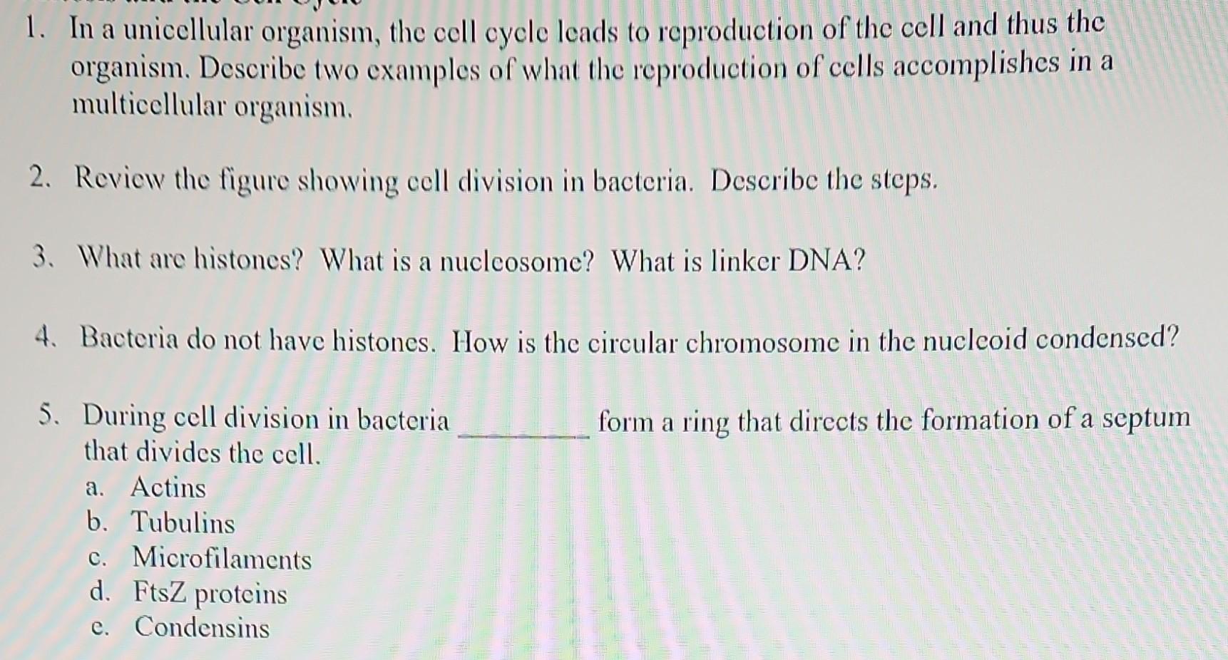 1 In A Unicellular Organism The Cell Cycle Leads To Reproduction Of The Cell And Thus The Organism Describe Two Examp 1
