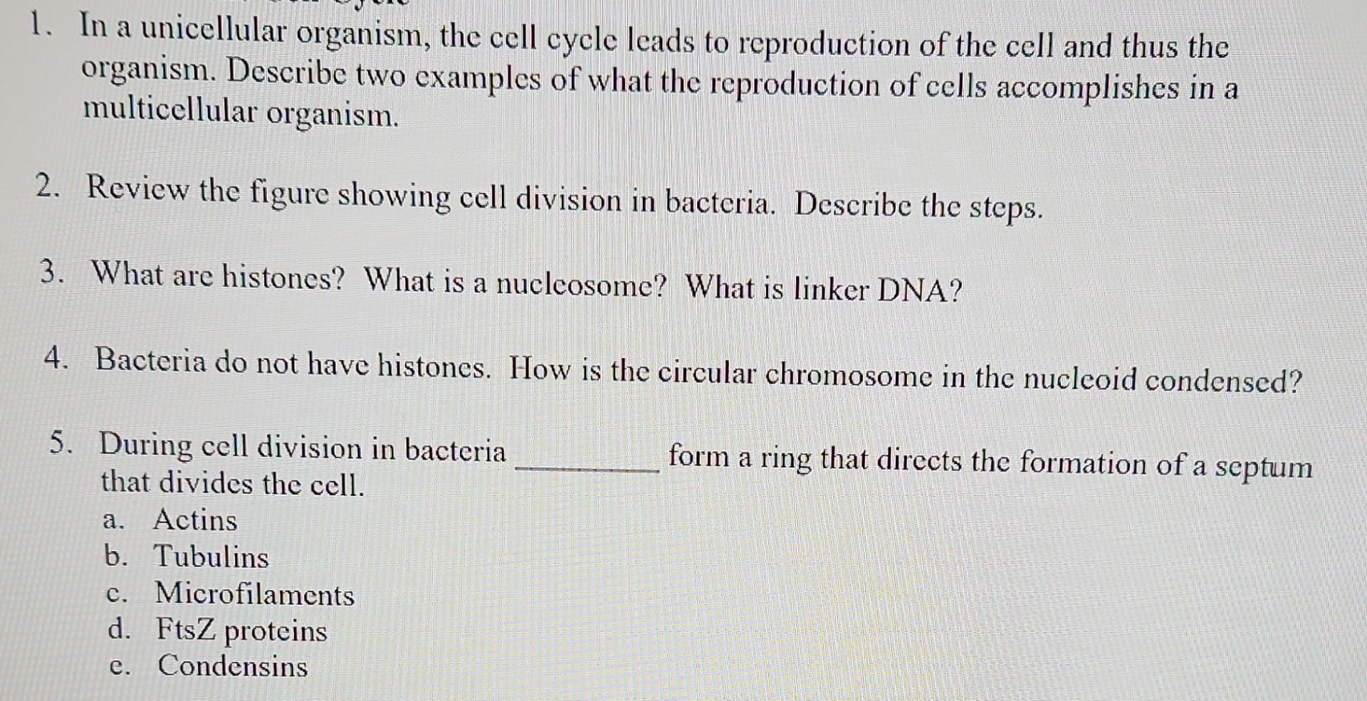 1 In A Unicellular Organism The Cell Cycle Leads To Reproduction Of The Cell And Thus The Organism Describe Two Examp 2