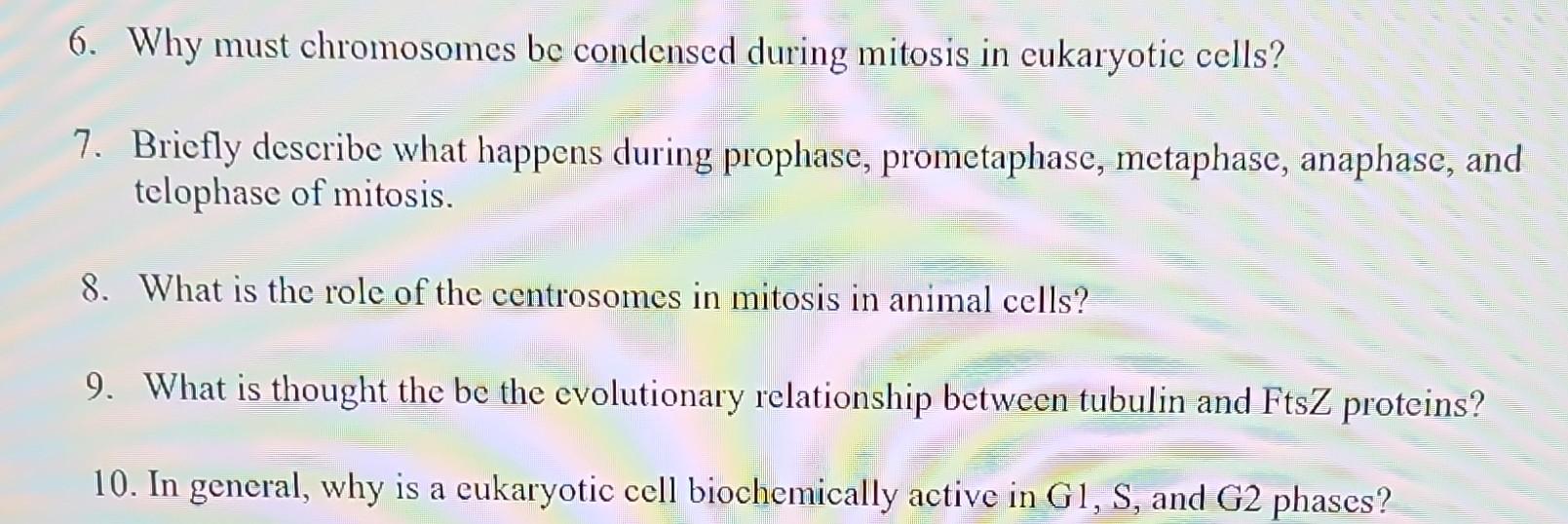 6 Why Must Chromosomes Be Condensed During Mitosis In Eukaryotic Cells 7 Briefly Describe What Happens During Prophas 1