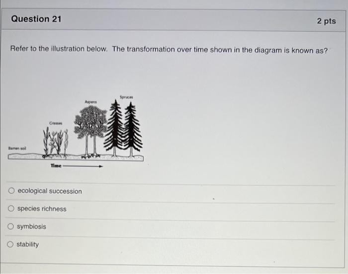 Question 21 2 Pts Refer To The Illustration Below The Transformation Over Time Shown In The Diagram Is Known As Spric 1