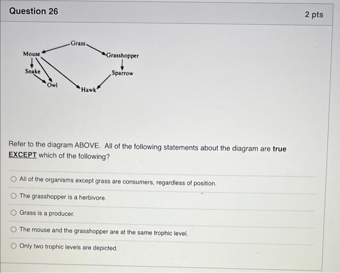 Question 25 2 Pt How Can Introduced Species Disrupt Ecosystem By Causing Habitat Fragmentation By Crowding Out Native S 2