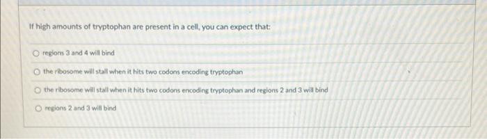 If High Amounts Of Tryptophan Are Present In A Cell You Can Expect That Regions 3 And 4 Will Bind The Ribosome Will St 1