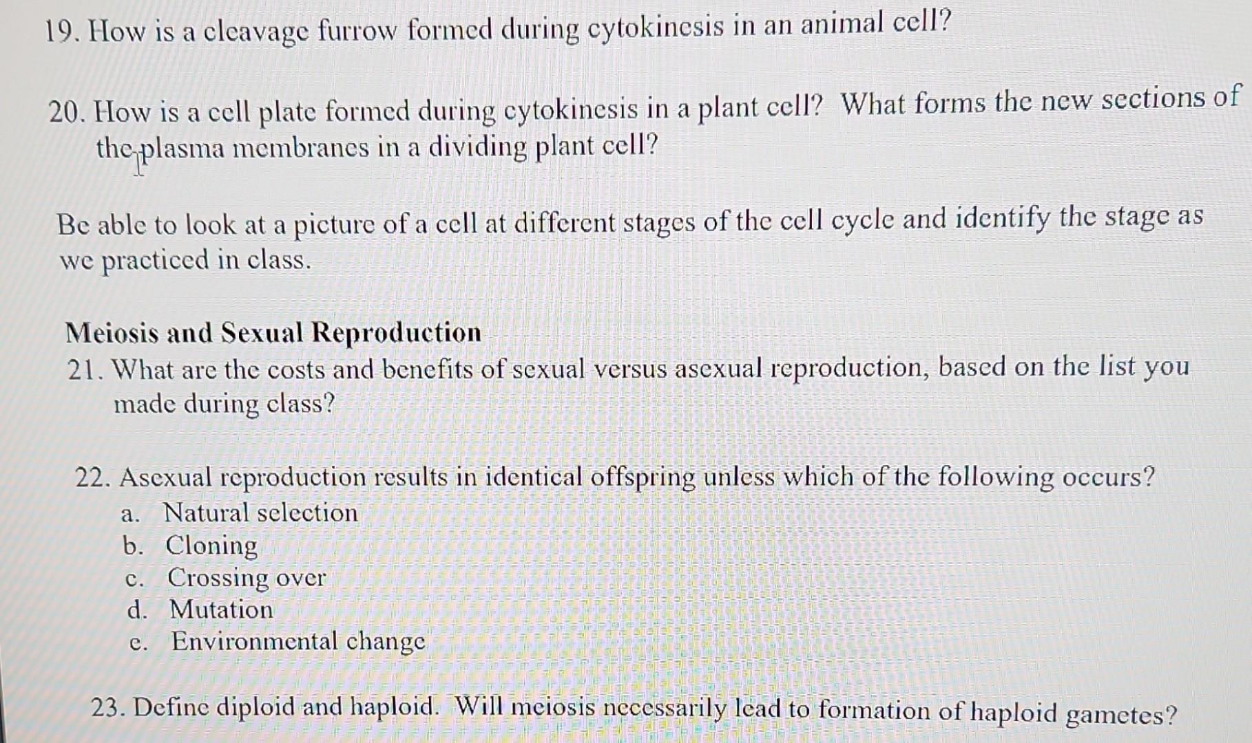 19 How Is A Cleavage Furrow Formed During Cytokinesis In An Animal Cell 20 How Is A Cell Plate Formed During Cytokine 1