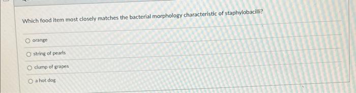 Which Food Item Most Closely Matches The Bacterial Morphology Characteristic Of Staphylobacilli Orange String Of Pearls 1