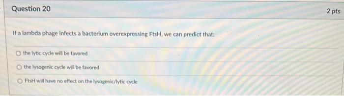 Question 20 2 Pts If A Lambda Phage Infects A Bacterium Overexpressing Fish We Can Predict That Othelytic Cycle Will B 1