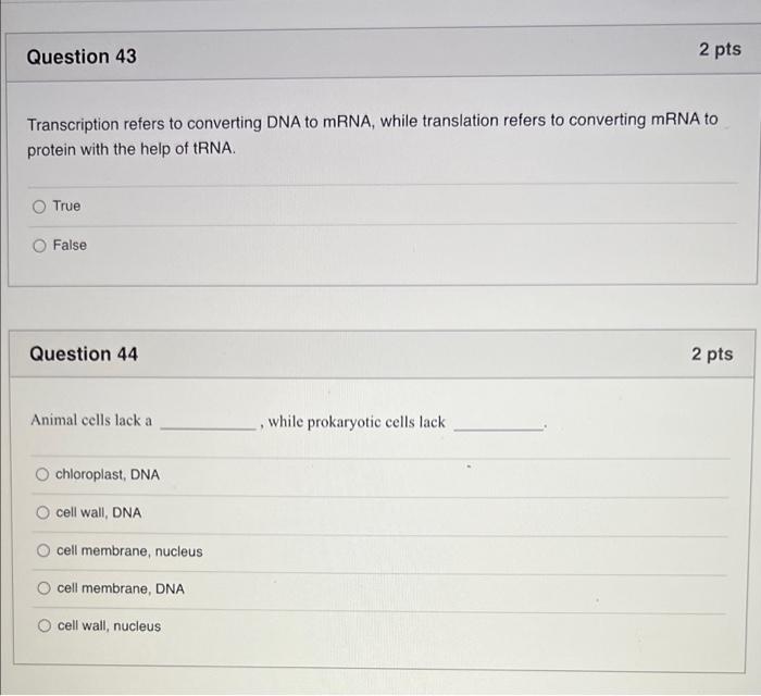 Question 40 2 Pts The Backbone Or Side Ladder Of Dna Consist Of Nitrogenous Bases True False Question 41 2 Pts Dna Is P 2
