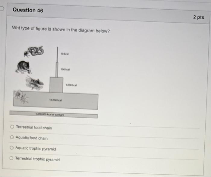 D Question 45 2 Pts All Living Things Are Composed Of Cells And Cells Come From Other Cells Is Known As O Fluid Mosaic 2