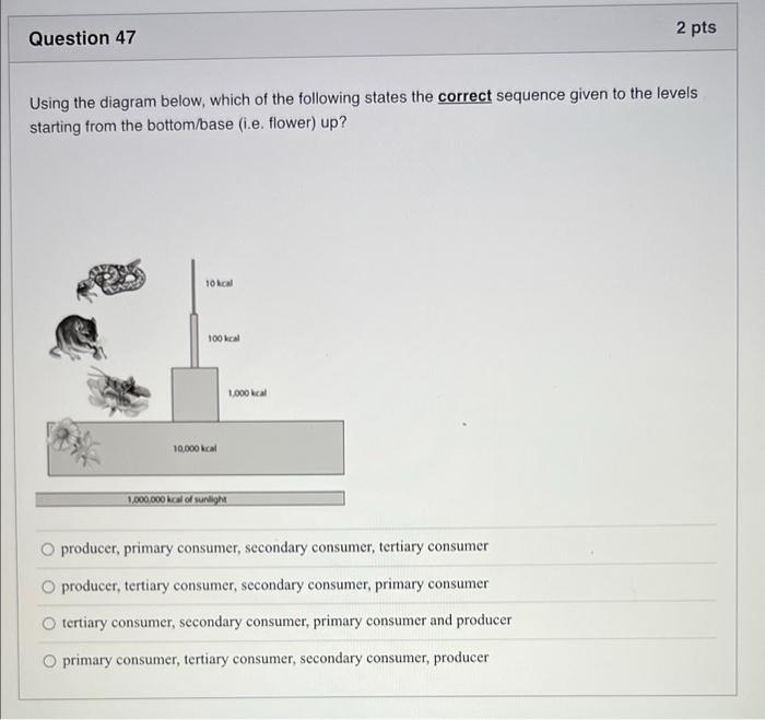 D Question 45 2 Pts All Living Things Are Composed Of Cells And Cells Come From Other Cells Is Known As O Fluid Mosaic 3
